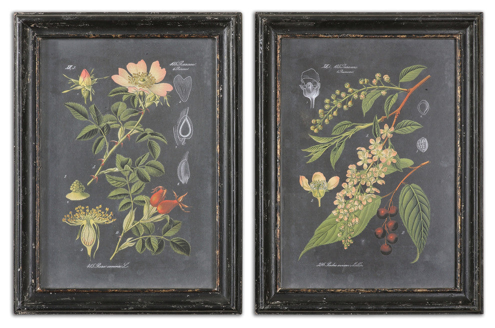 Midnight Botanicals Wall Art, 2-Piece Set