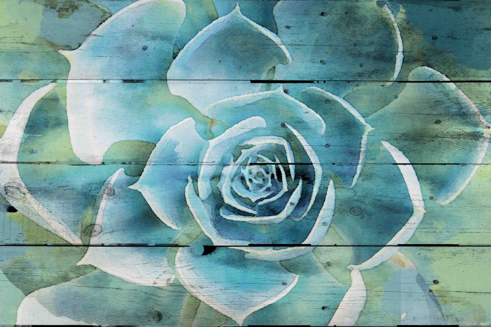 "Succulent Extravaganza" Painting Print on Canvas by Irena Orlov