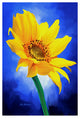 "Sun Flower" by Ata Alishahi, Canvas Art, 22"x32"