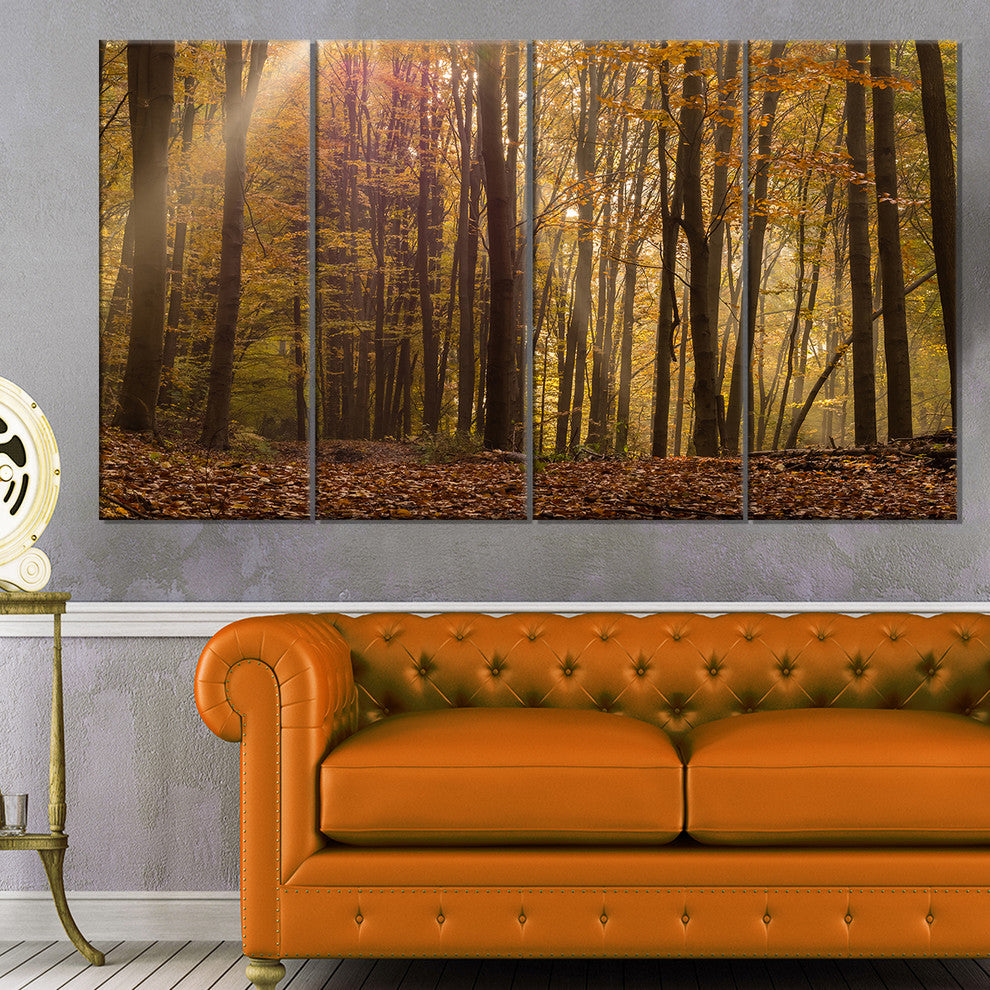 Dense Forest in Rays of Rising Sun, Forest Canvas Art Print, 48"x28", 4 Panels