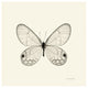 "Butterfly I - BW" Digital Paper Print by Debra Van Swearingen, 26"x26"