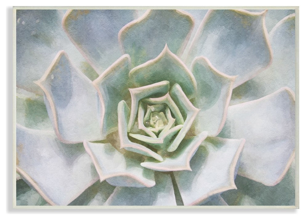 Succulent Plant Gentle Morning Dew Painting Wall Plaque Art, 10"x15"