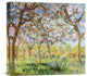 "Spring at Giverny" Stretched Canvas Giclee by Claude Monet, 16"x16"
