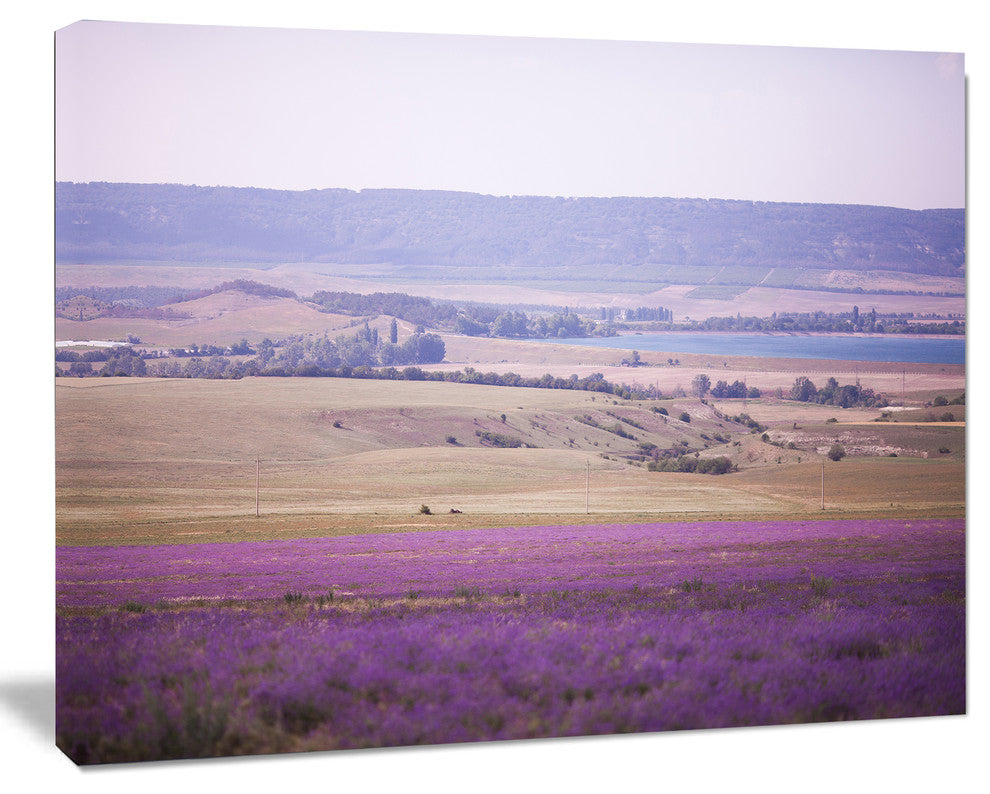 Calm Sunset over Lavender Field, Floral Canvas Art Print, 20"x12"
