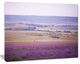 Calm Sunset over Lavender Field, Floral Canvas Art Print, 20"x12"