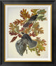 "Canada Jay" Framed Canvas Giclee by John James Audubon, 22"x26"