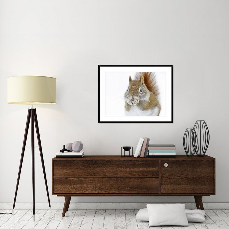 "Christmas Squirrel" Framed Digital Print by Mircea Costina, 40x32"