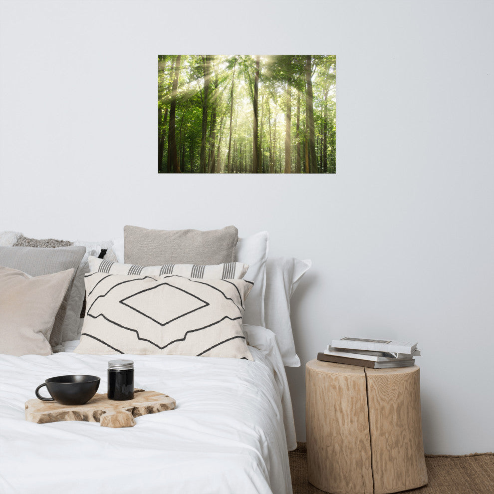 Sun Rays Through Treetops Landscape Photo Unframed Wall Art Print, 24" X 36"