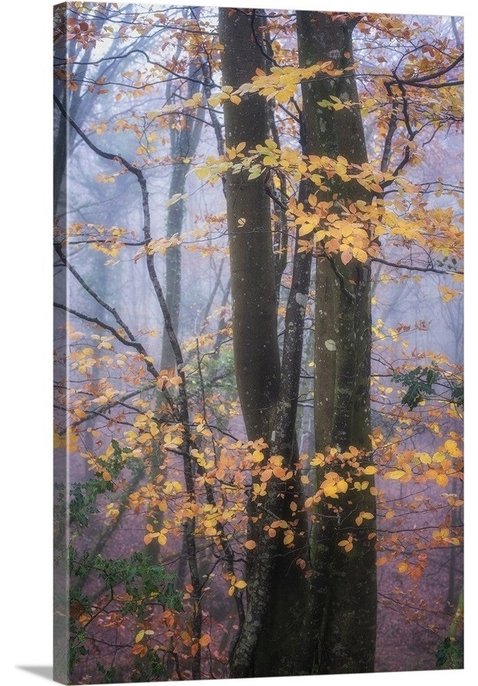 "Season Details" Wrapped Canvas Art Print, 24"x36"x1.5"