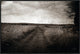 36x24 Path V, Framed Artwork, Black