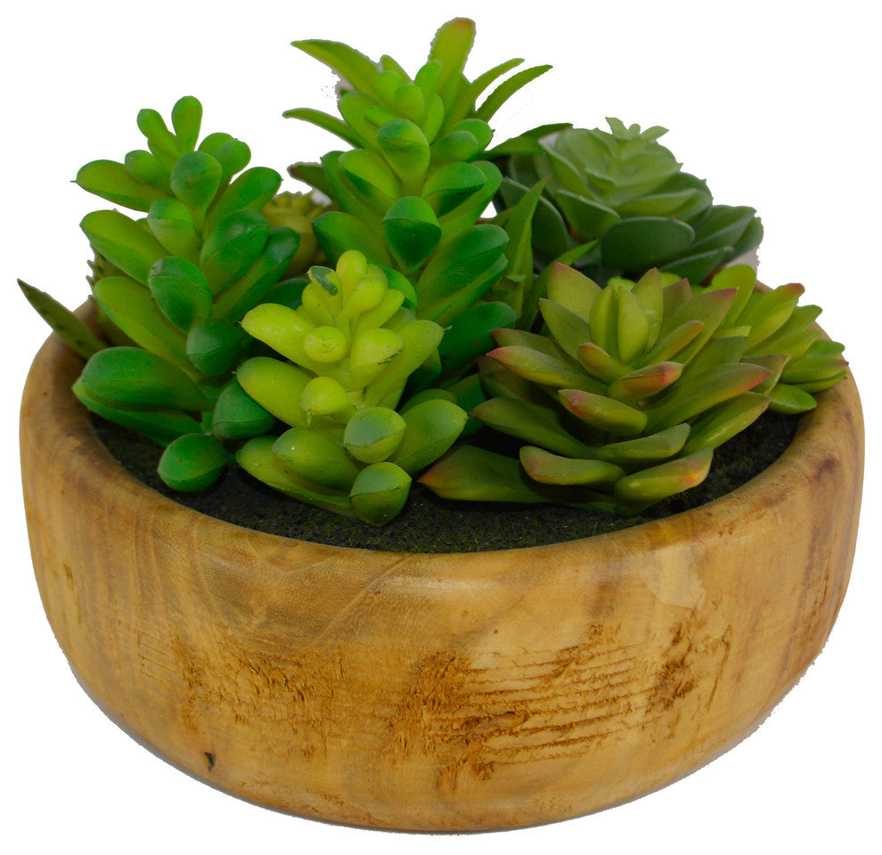 Desktop Artificial Succulent Plant in Wooden Pot