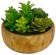 Desktop Artificial Succulent Plant in Wooden Pot