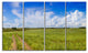 Road in Field with Green Grass, Landscape Canvas Art Print, 48"x28", 4 Panels