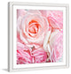 Marmont Hill, "Pink Roses" by Sylvia Cook Framed Painting Print, 18x18