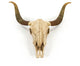 Bull Skull Wall Decor