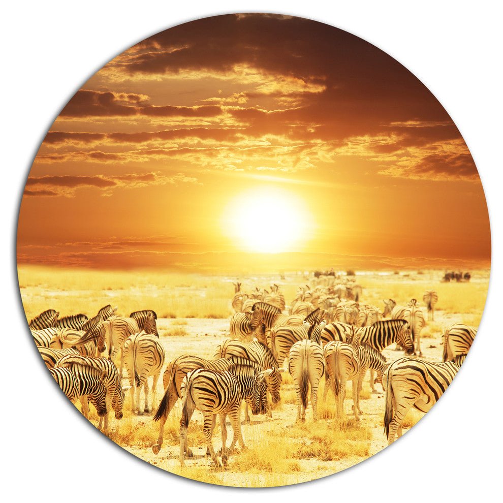 Wandering Herd Of Zebra At Sunset, African Disc Metal Wall Art, 36"