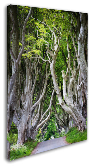 Philippe Sainte-Laudy 'Down There' Canvas Art, 12"x19"