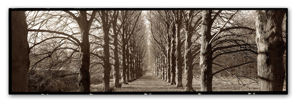 Alan Blaustein 'Hampton Gates Promenade I' Canvas Art, 19x6
