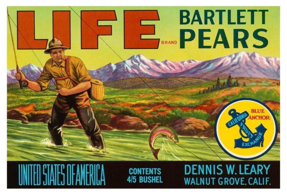 "Life Brand Bartlett Pears" Digital Paper Print by Retrolabel, 46"x31"