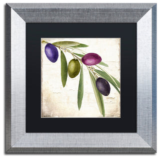 Color Bakery 'Olive Branch IV' Matted Framed Art, Silver Frame, Black Mat, 11x11