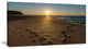 "Sydney Seashore at Sunrise" Canvas Print