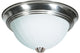 Nuvo 2 Light 13W Fluorescent Brushed Nickel Close-to-Ceiling Light Fixture