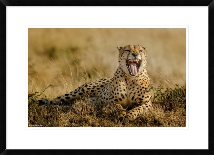 "Grumpy Morning" Framed Digital Print by Husain Alfraid, 30x21"