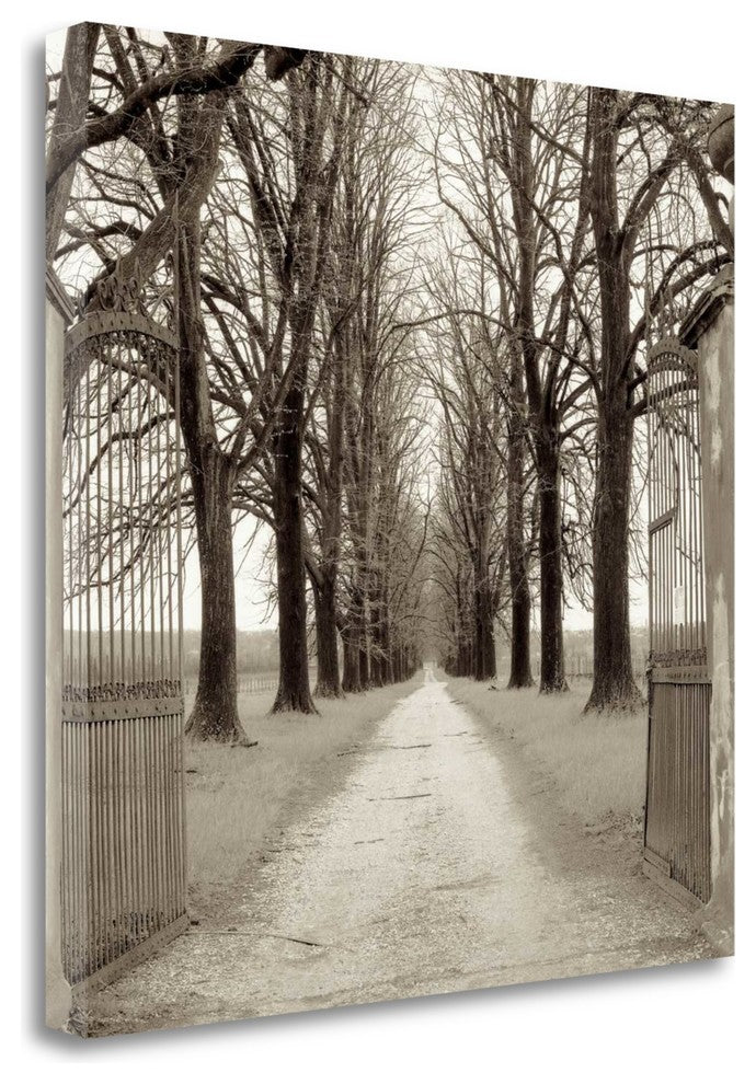 "Veneto Giardini - 1" By Alan Blaustein, Giclee Print on Gallery Wrap Canvas