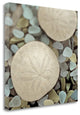 "Aquatic 2" By Alan Blaustein,Ready to Hang Giclee Print on Gallery Wrap Canvas
