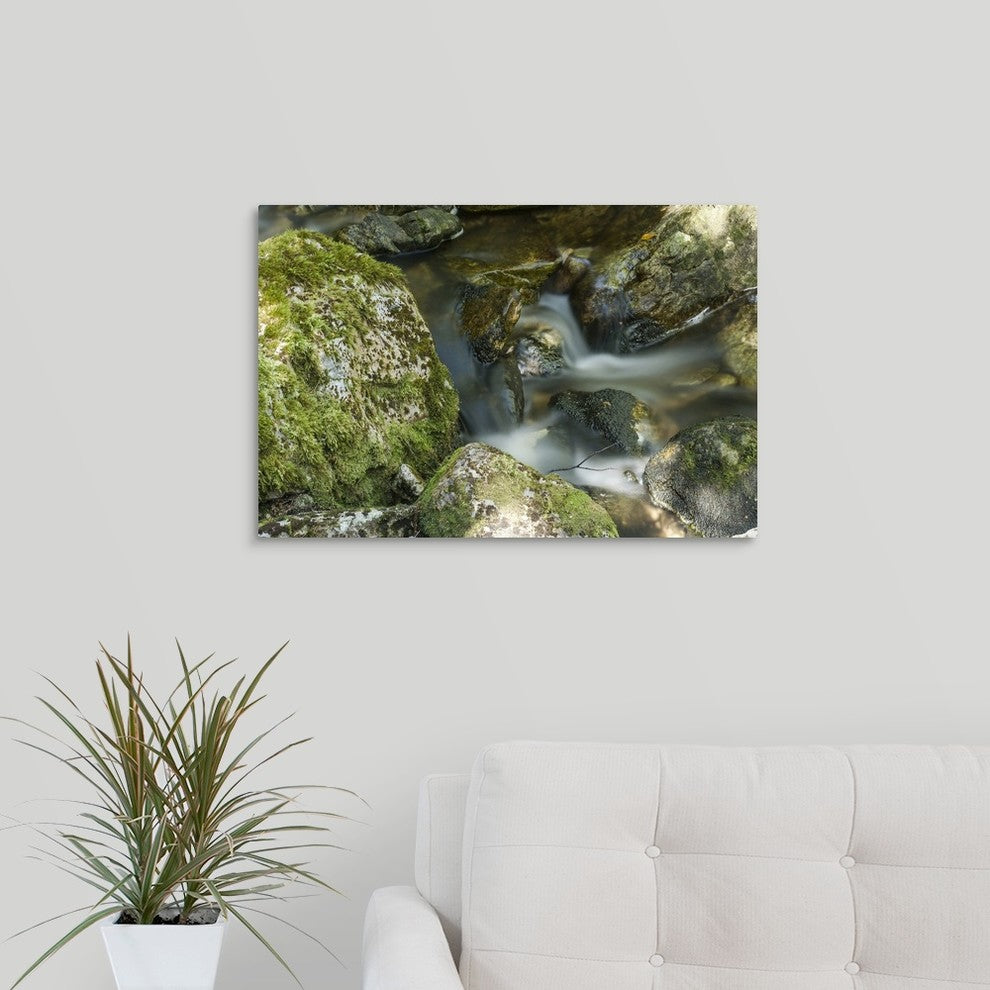 "Cradle Mountain Stream" Wrapped Canvas Art Print, 24"x16"x1.5"