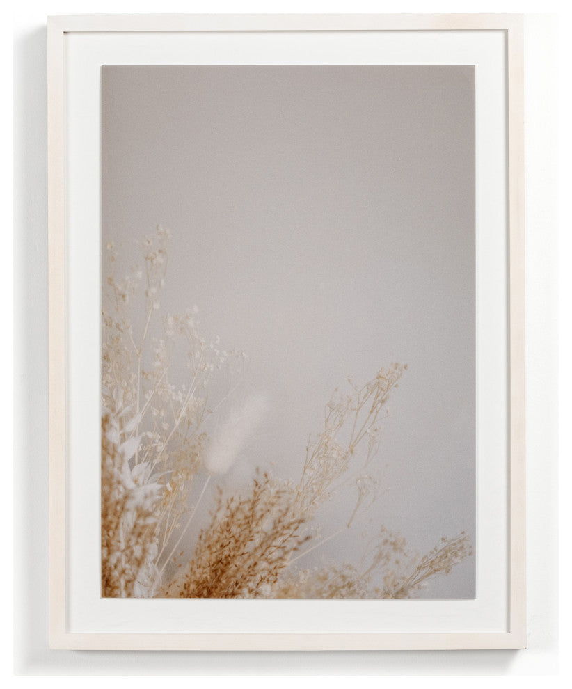 Dried Floral Ii By Annie Spratt