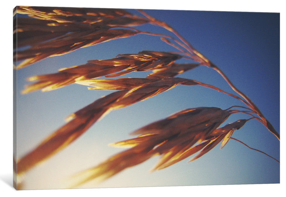 "Windy Wheat Fields II" by Laura Marshall, 26x18x1.5
