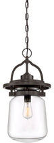 Quoizel LLE1911WT One Light Outdoor Hanging Lantern LaSalle Western Bronze