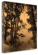 "Shadow Play I" By Madeleine Endo, Giclee Print on Gallery Wrap Canvas