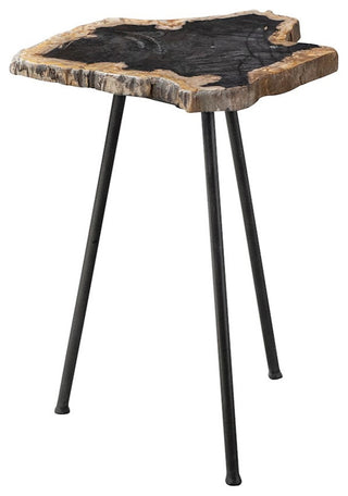 Uttermost Mircea Petrified Wood Accent Table, 25461