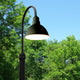 Cocoweb 12" Blackspot LED Street Light in Black With Black 8' Tall Post
