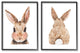Cute Bunny with Cotton Tail Back Blushing Rabbit,11 x 14