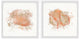 Orange Vision Diptych, 2-Piece Set, 32x32 Panels