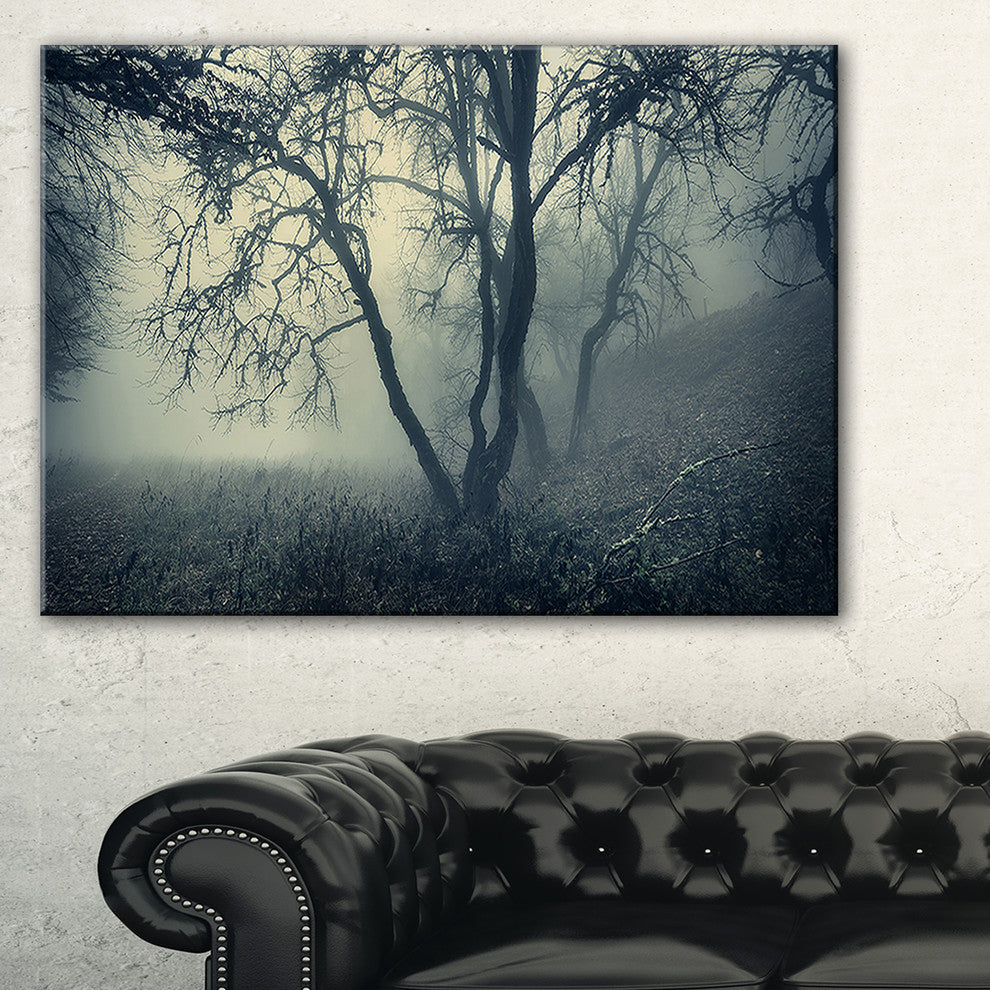 "Forest With Green Fog in Morning" Landscape Photo Wall Art, 32"x16"