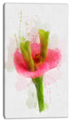 Green Red Flower Sketch Watercolor, Floral Canvas Art Print, 16"x32"