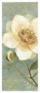 "Pretty Peony Crop" Digital Paper Print by Albena Hristova, 22"x52"
