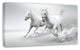Running White Horses, Animal Canvas Art Print, 32"x16"