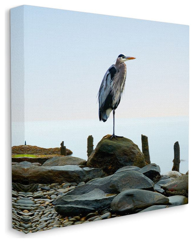 BHeron Bird Ocean Animal Photograph, 17"x17"