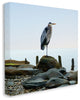 BHeron Bird Ocean Animal Photograph, 17"x17"
