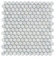 Carrara White Marble Polished Penny Round Mosaic Tile