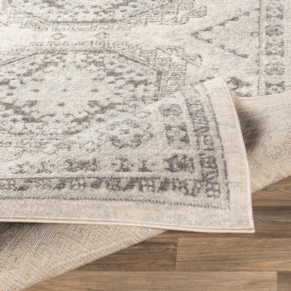 Surya Chester CHE-2309 Global Area Rug, 9' x 12' Rectangle