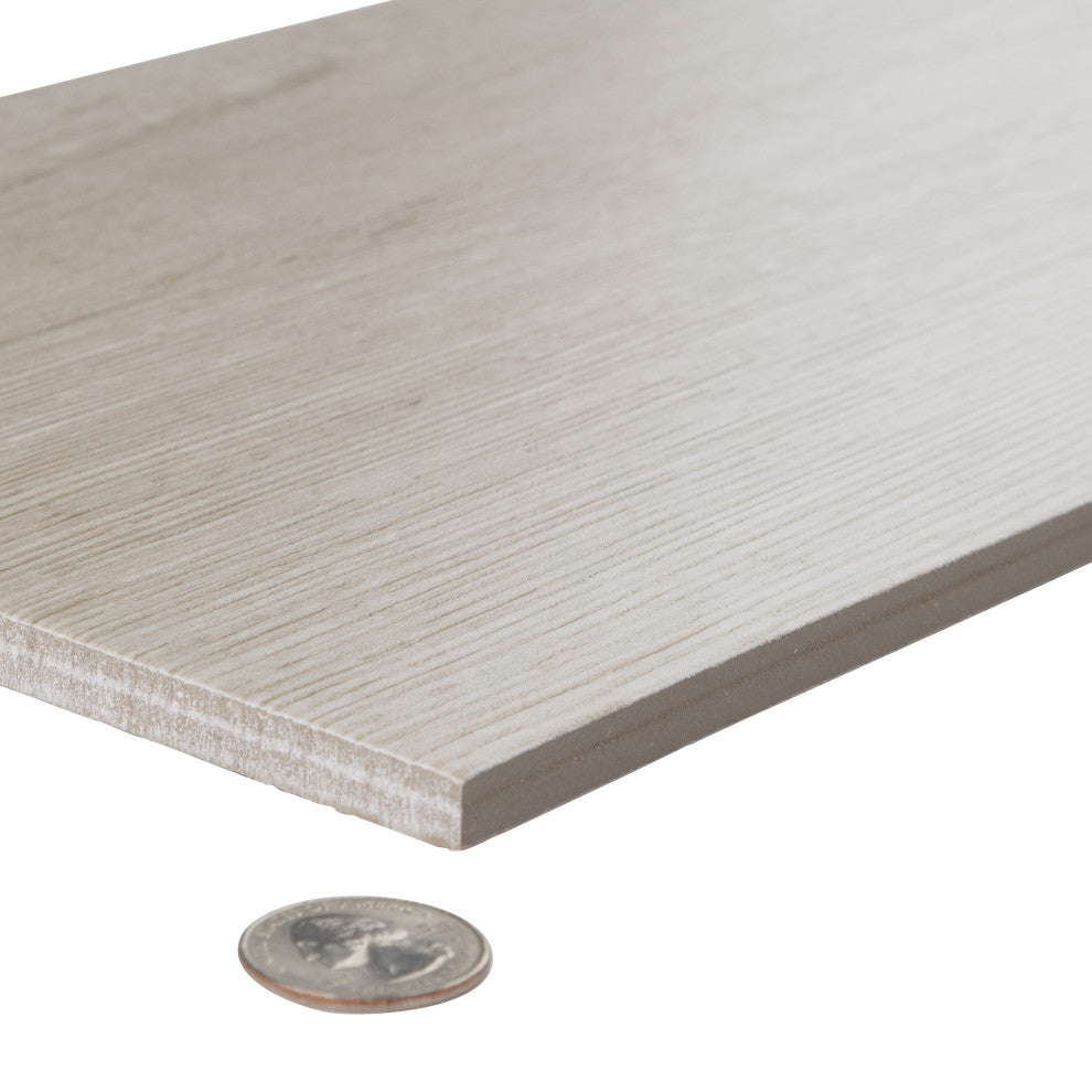 Llama  Porcelain Floor and Wall Tile  (63.9  sqft./pallet)