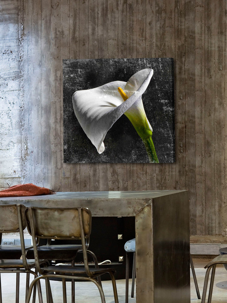 "White Callas" Painting Print on Canvas by Aryai