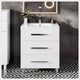 Libra Modern freestanding Bathroom Vanity With Integrated Sink, White