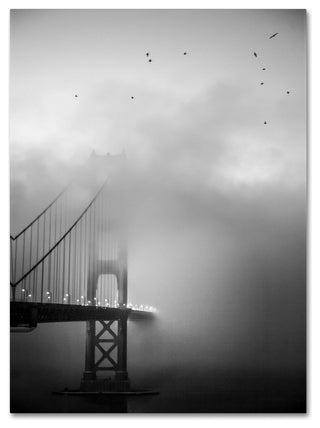 "Golden Gate and Birds" Canvas Art by Moises Levy